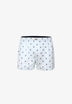 STRIPED SKULL BOXER SHORTS