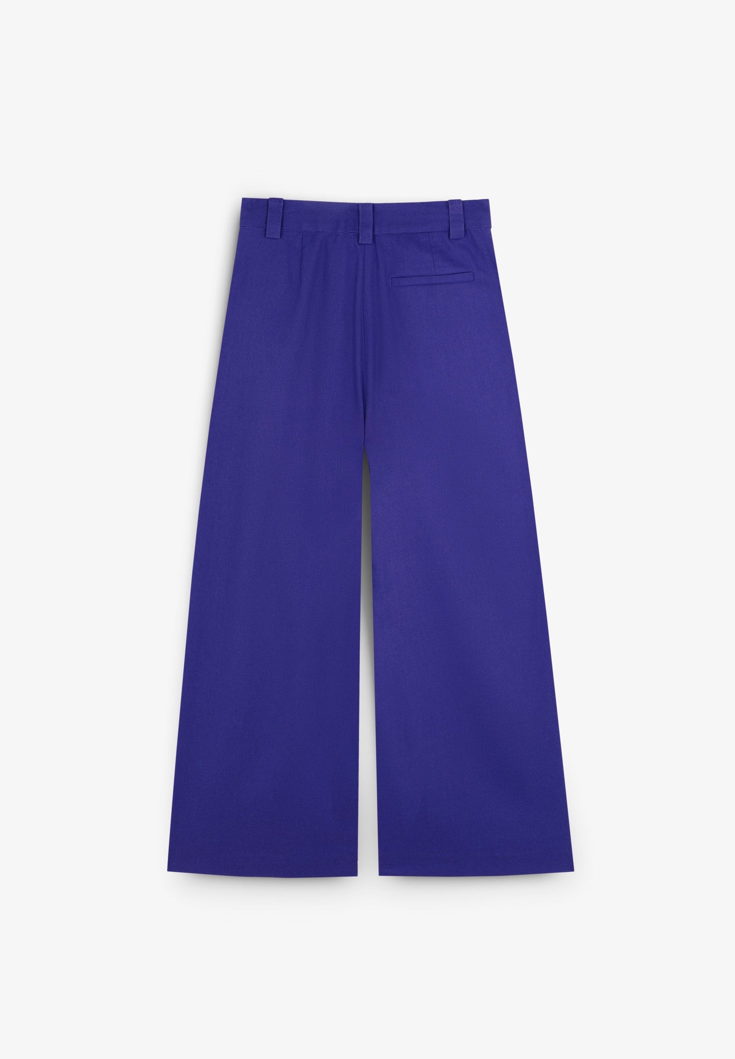 FLOWING TROUSERS WITH DARTS