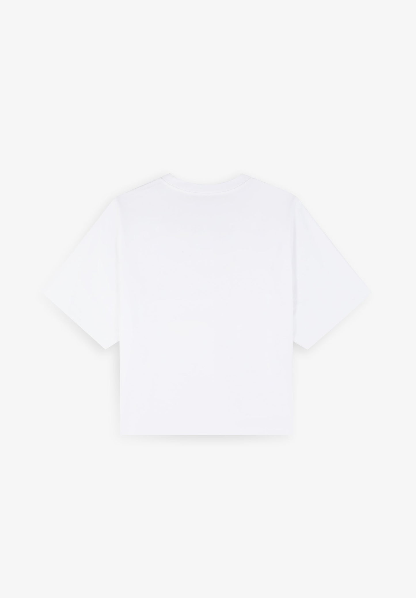EMBROIDERED DETAIL T-SHIRT | ROBIN X SCALPERS