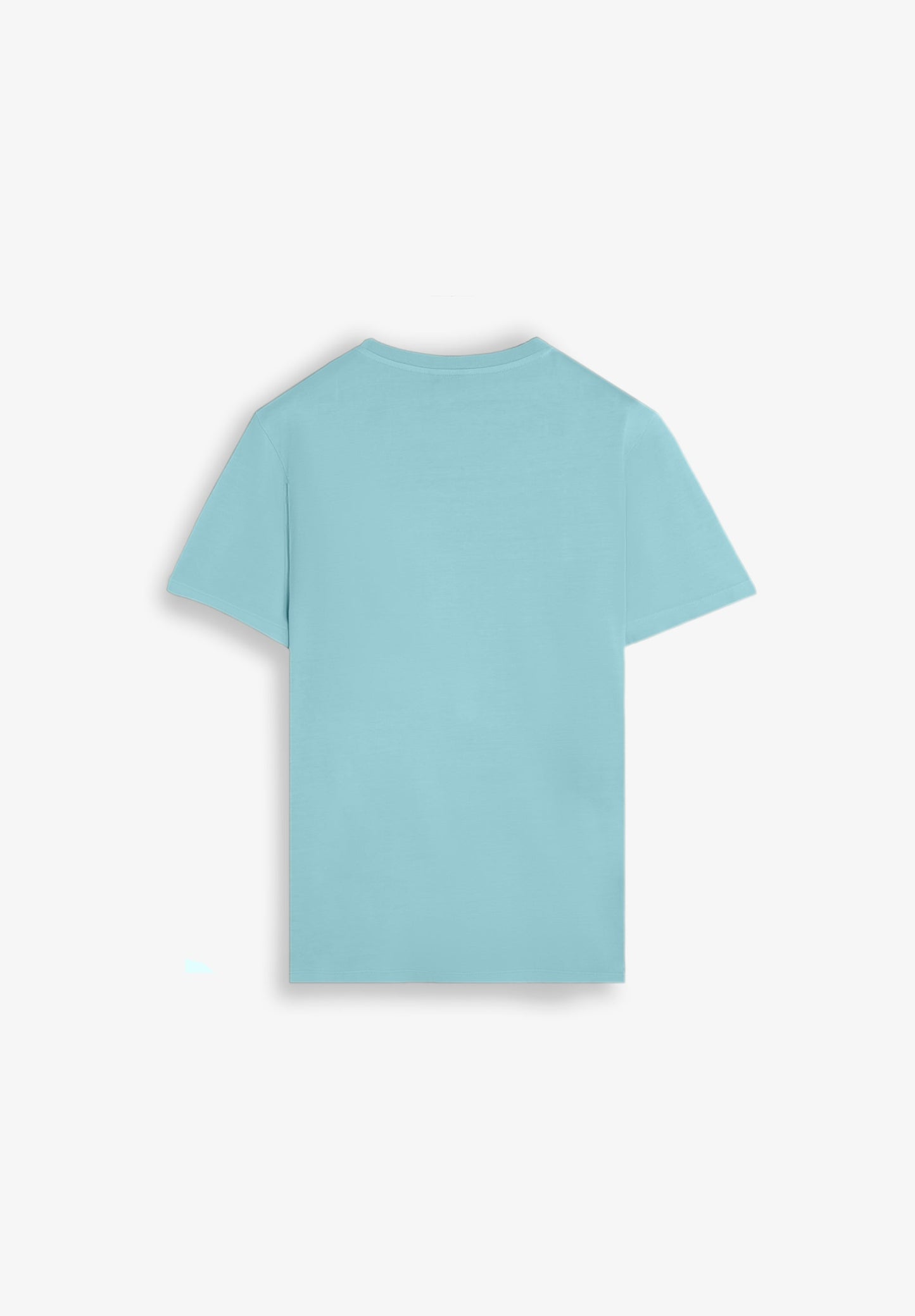 EMBROIDERED WASHED EFFECT T-SHIRT