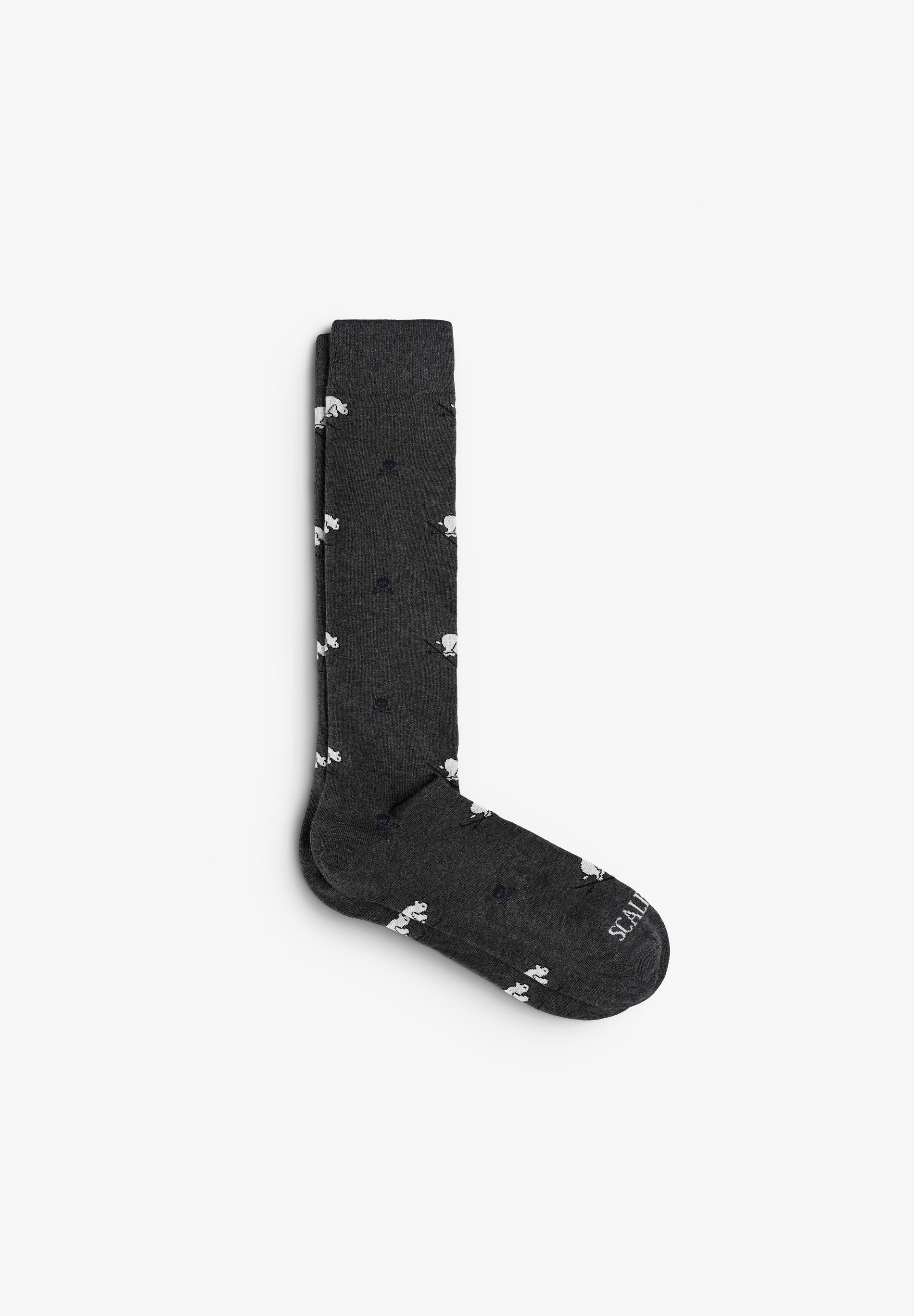 SCBEAR FUNNY L SOCKS