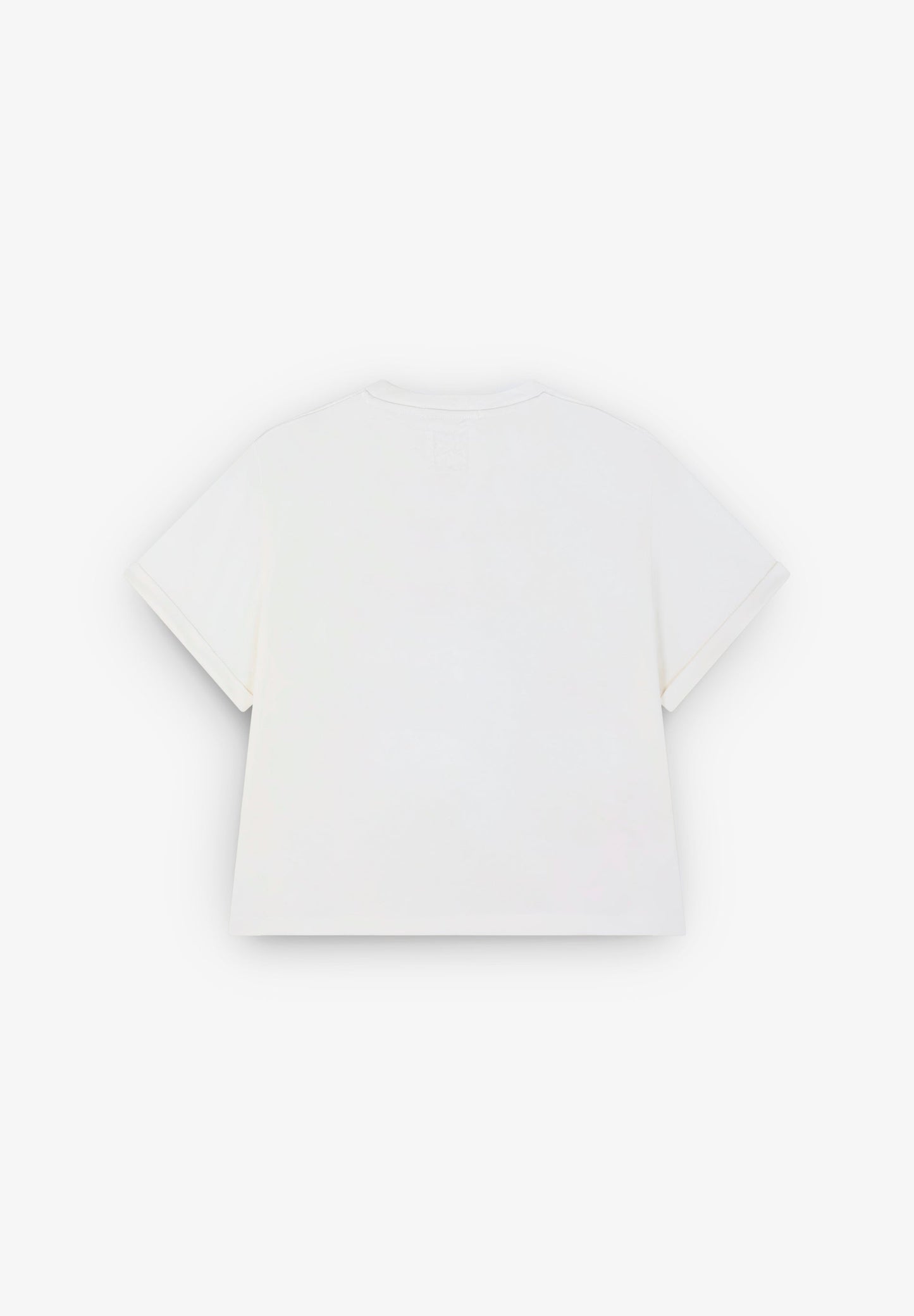 EMBROIDERED PRINT T-SHIRT | ROBIN X SCALPERS