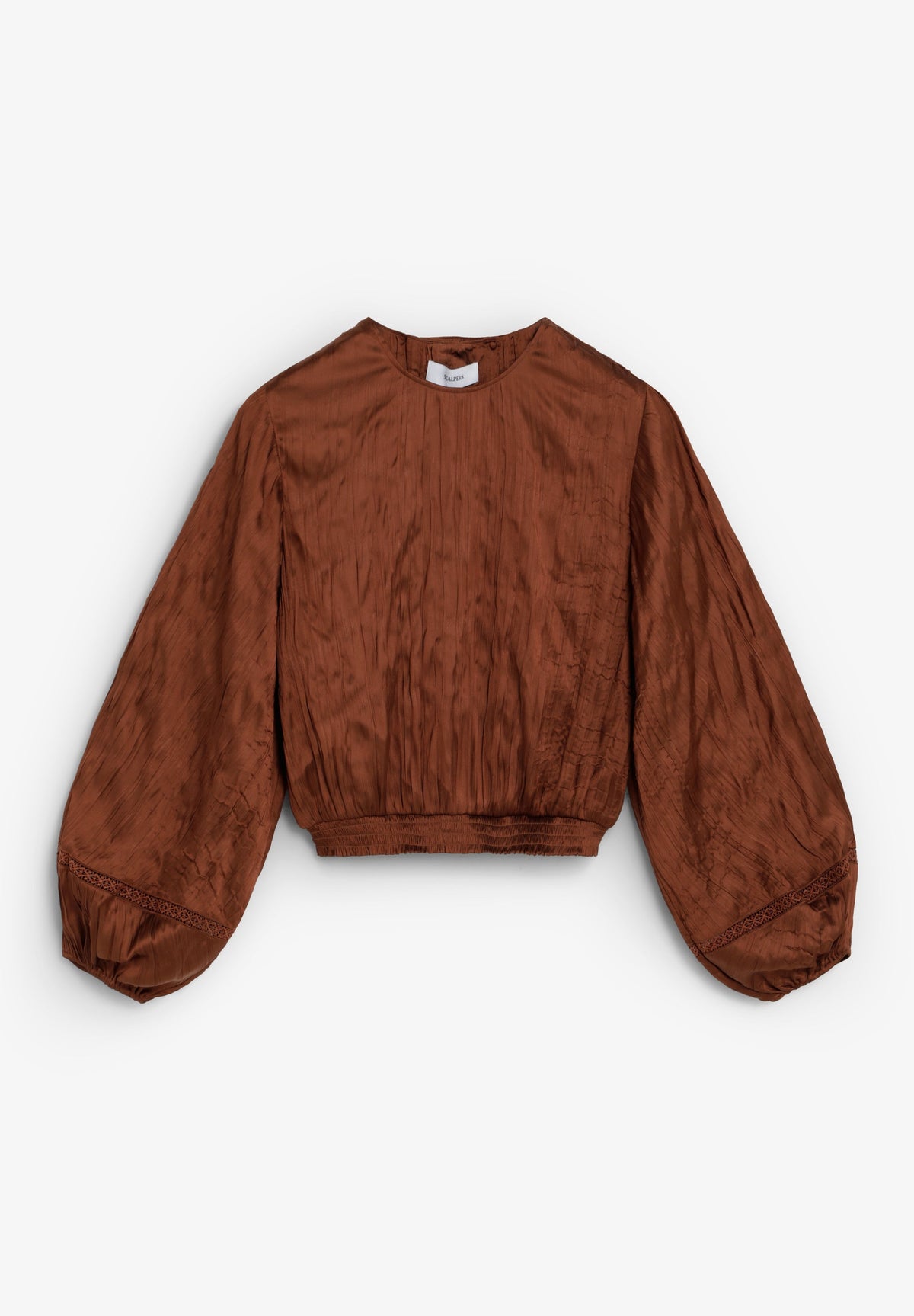 SCASYWRINKLESAT TOP
