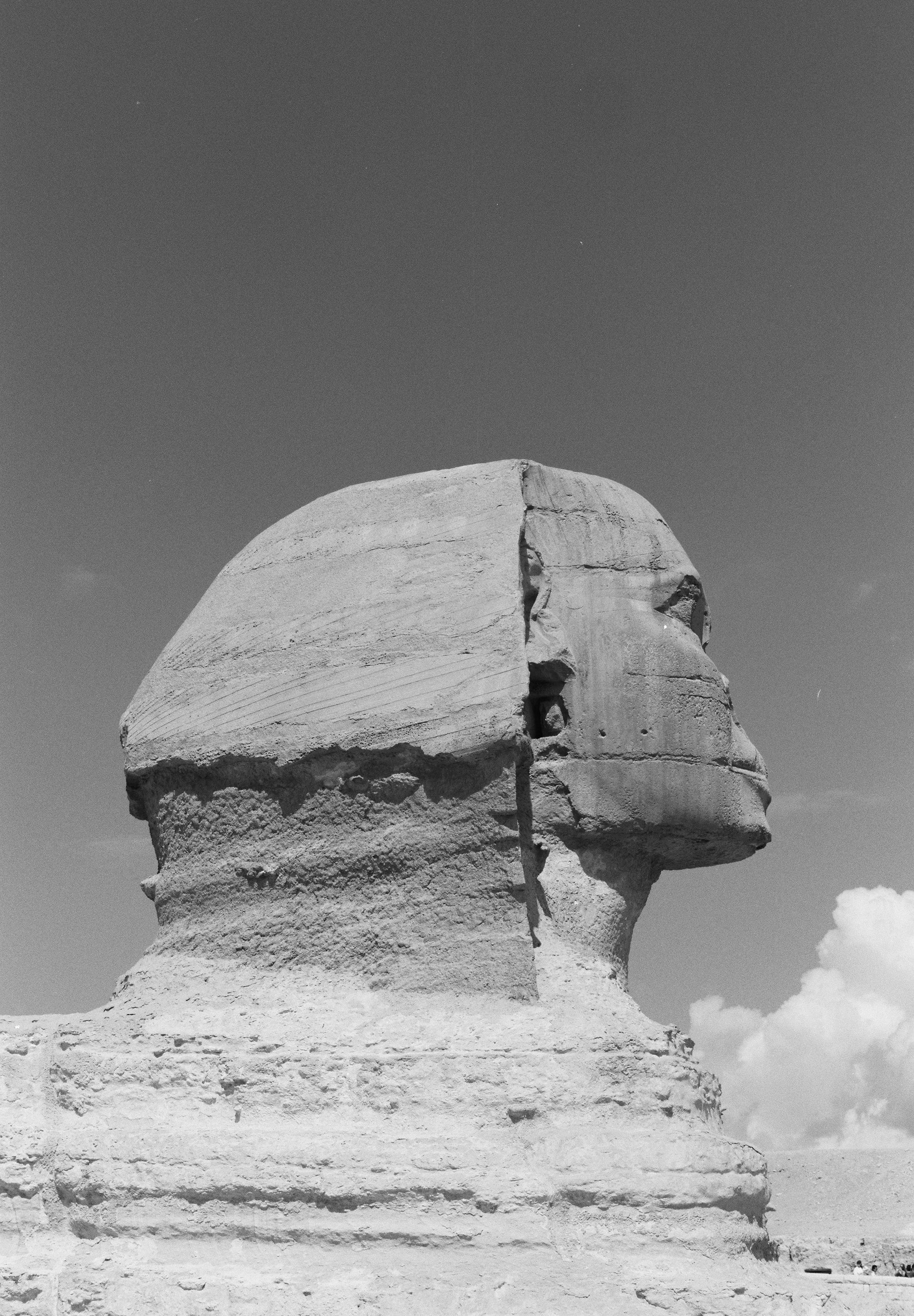 EMBROIDERED BOMBER JACKET