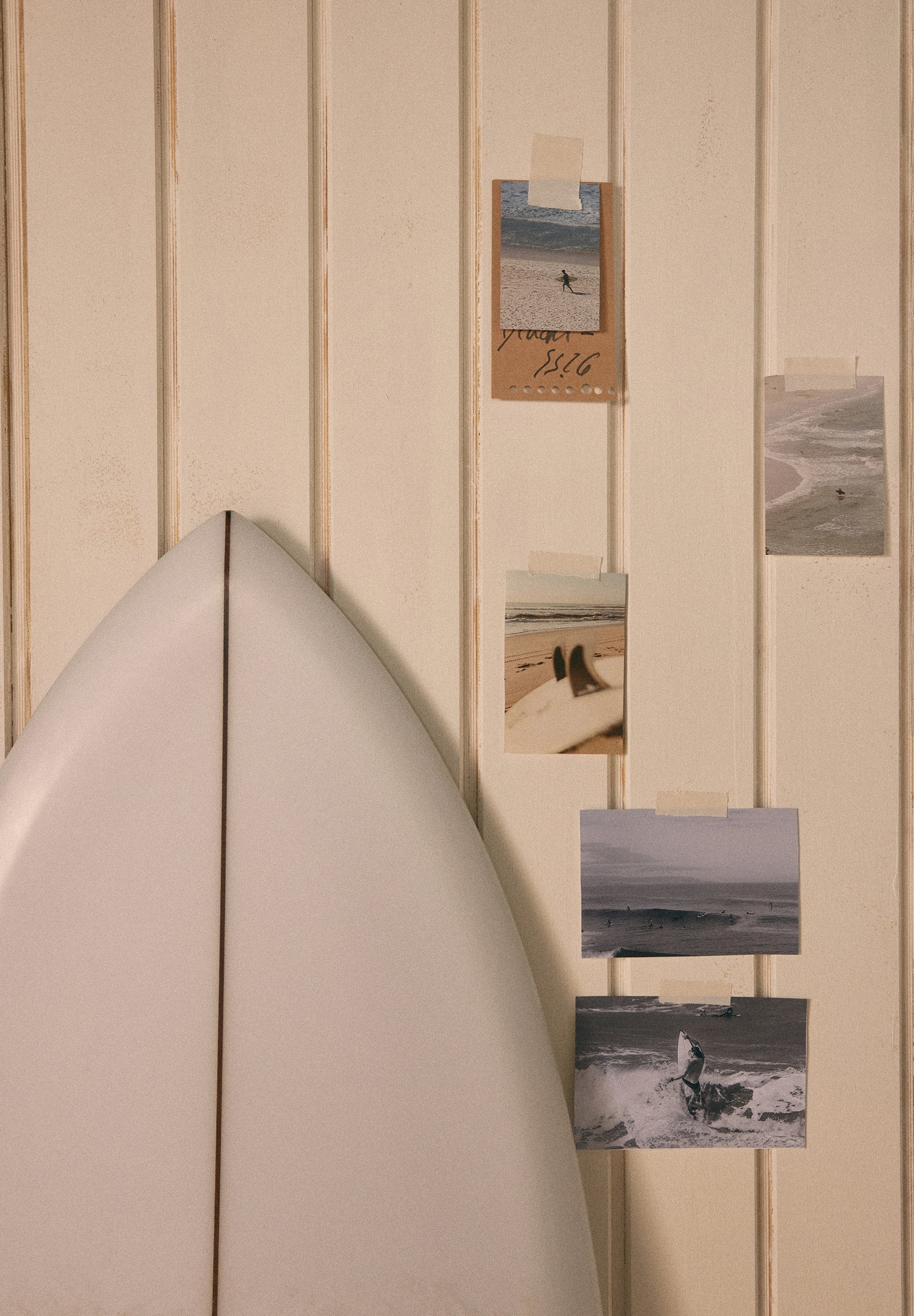 SARDINE PRINT HOODIE