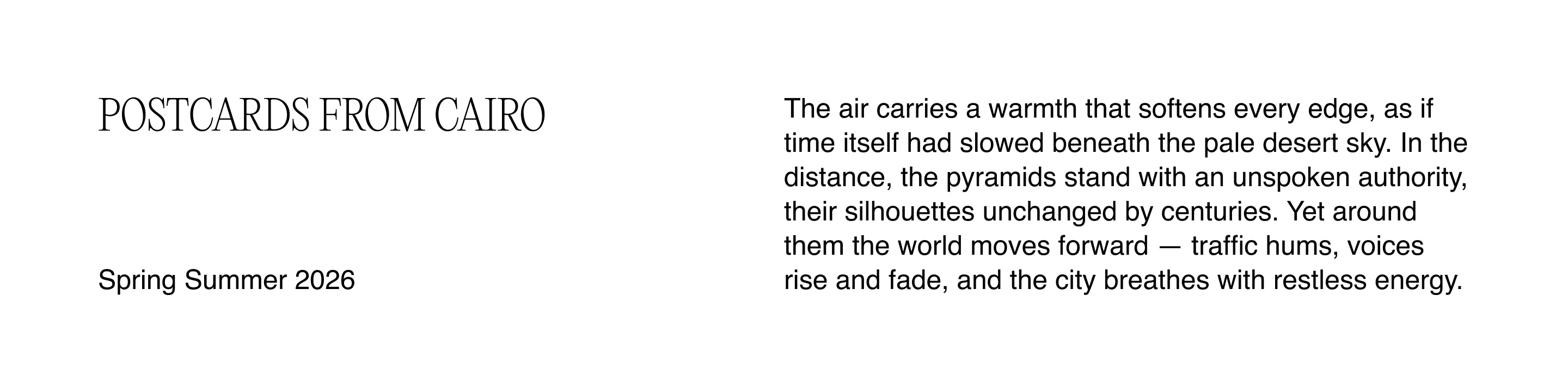 des_150326_cairo_h_02