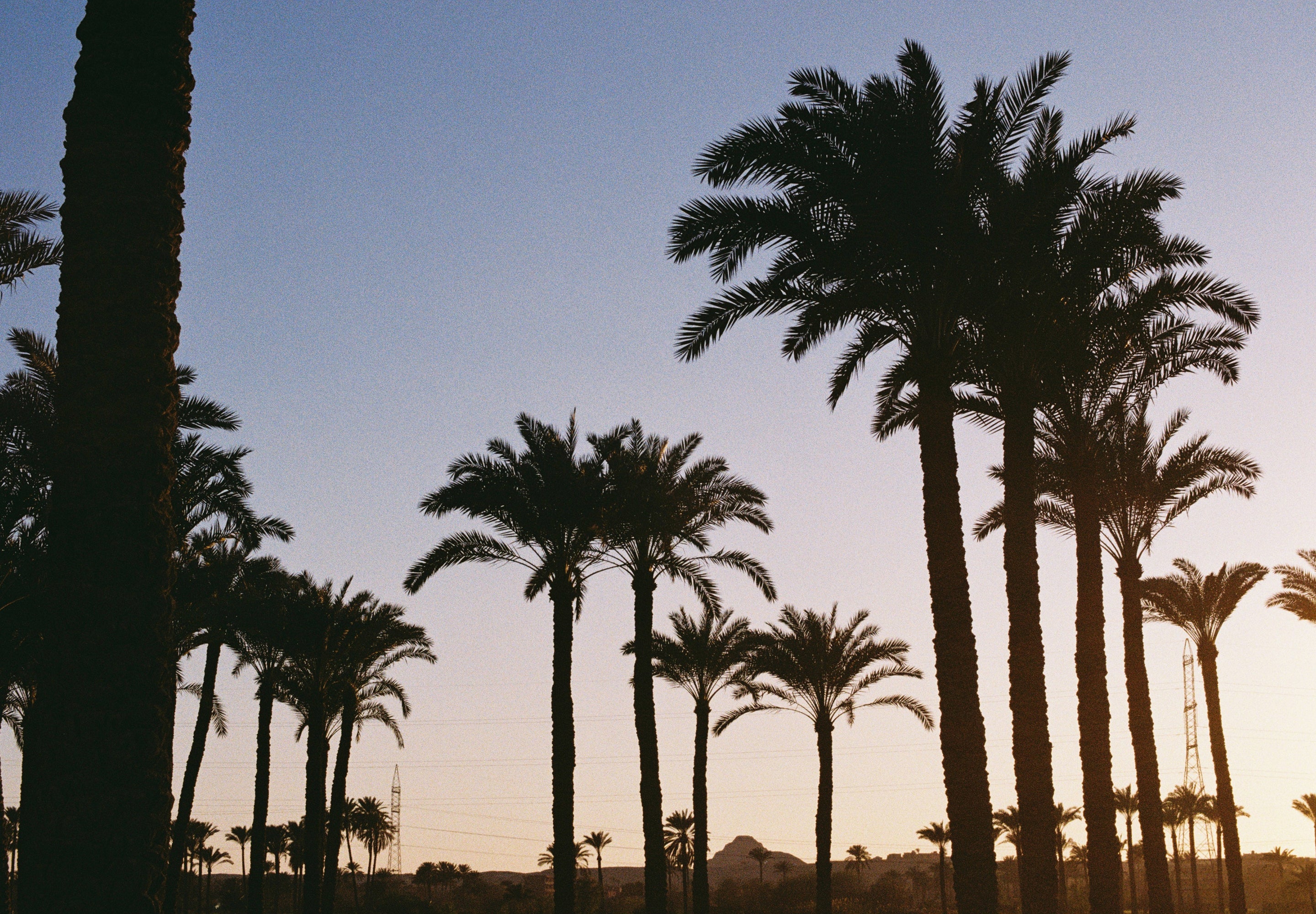 des_150326_cairo_m_19